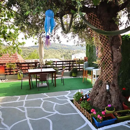 The Nest Tatil Evi Astris