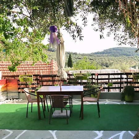 The Nest Tatil Evi *