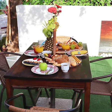 The Nest Tatil Evi Astris